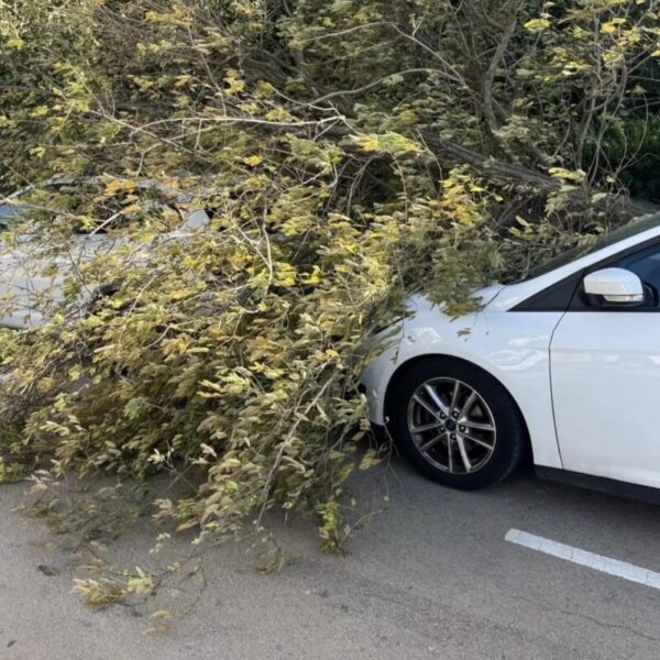 La Bustia forts vents Martorell 5