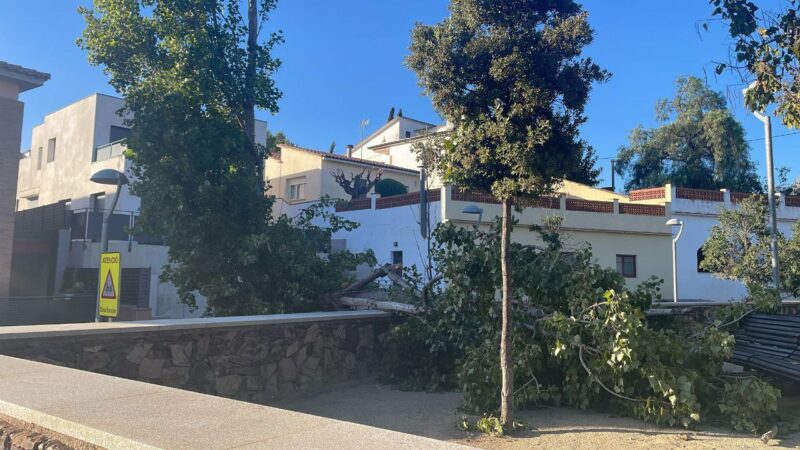 La Bustia forts vents Olesa 2