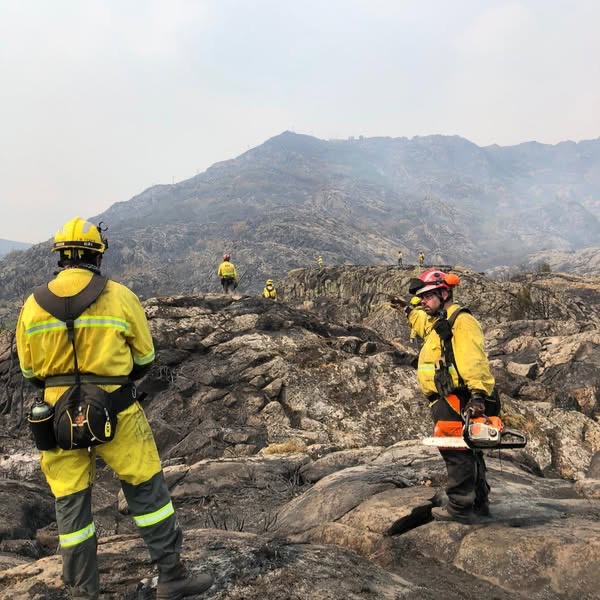 La Bustia incendis Castella i Lleo ADF 1