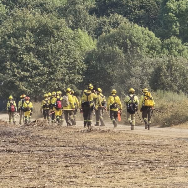 La Bustia incendis Castella i Lleo ADF 11