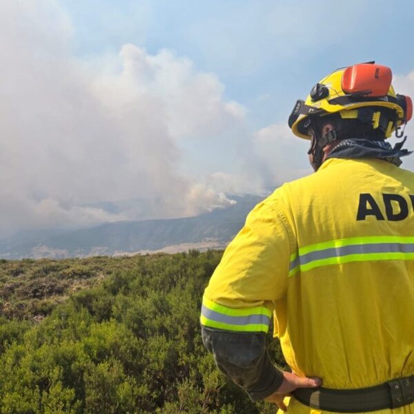 La Bustia incendis Castella i Lleo ADF 12