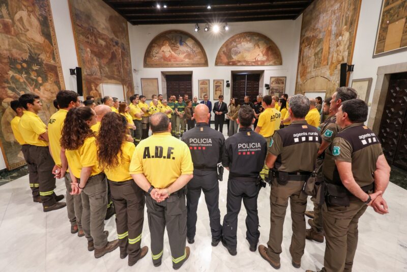 La Bustia incendis Castella i Lleo ADF 15