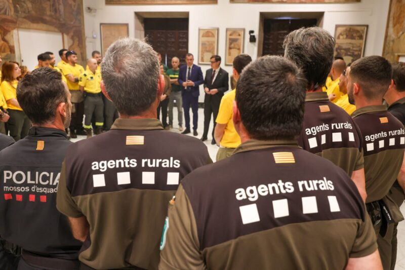 La Bustia incendis Castella i Lleo ADF 17