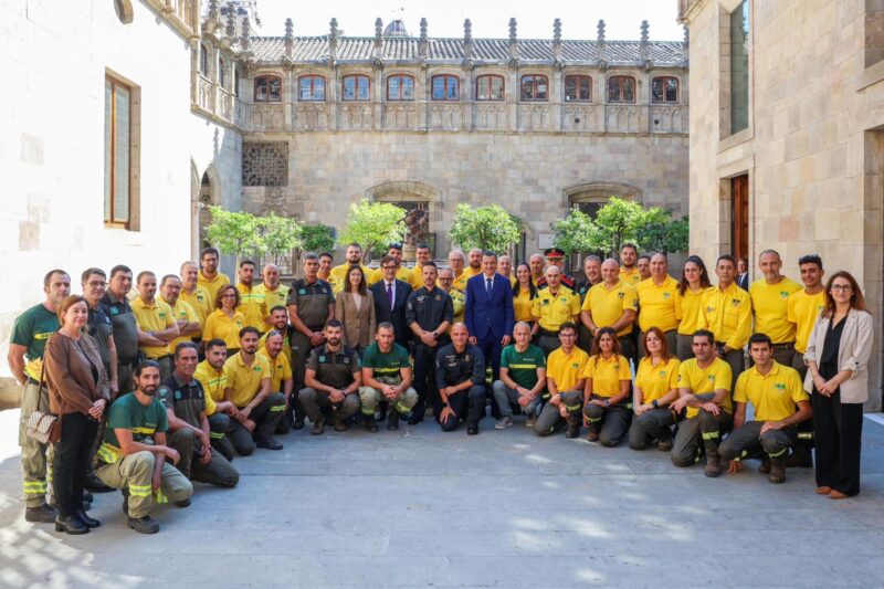 La Bustia incendis Castella i Lleo ADF 4