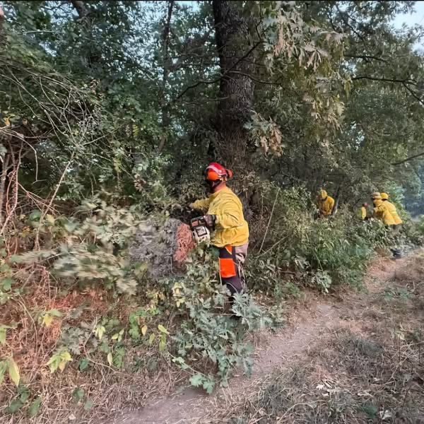 La Bustia incendis Castella i Lleo ADF 6