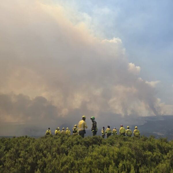 La Bustia incendis Castella i Lleo ADF 9