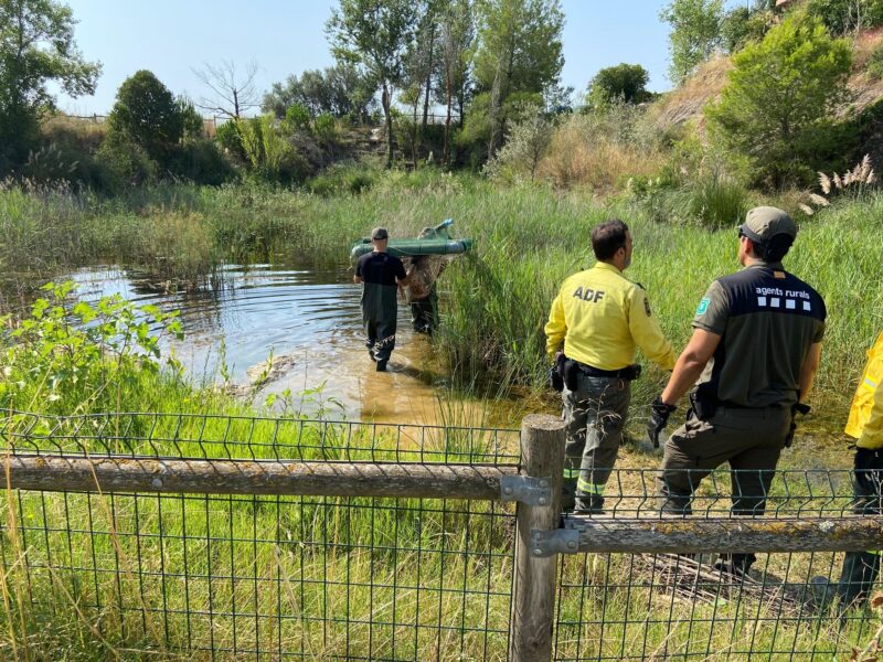 La Bustia Bassa Can Cardus Esparreguera 1