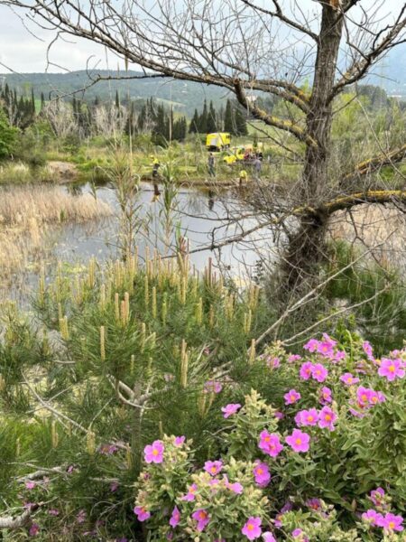 La Bustia Bassa Can Cardus Esparreguera 12