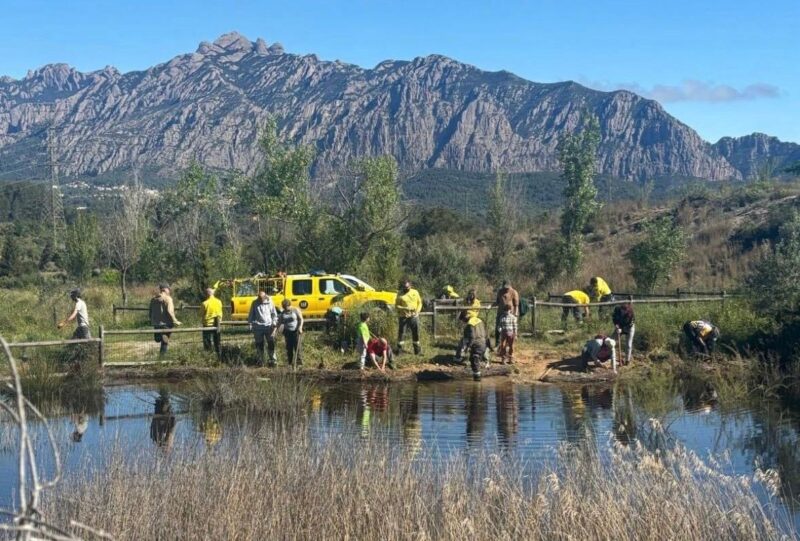 La Bustia Bassa Can Cardus Esparreguera 2