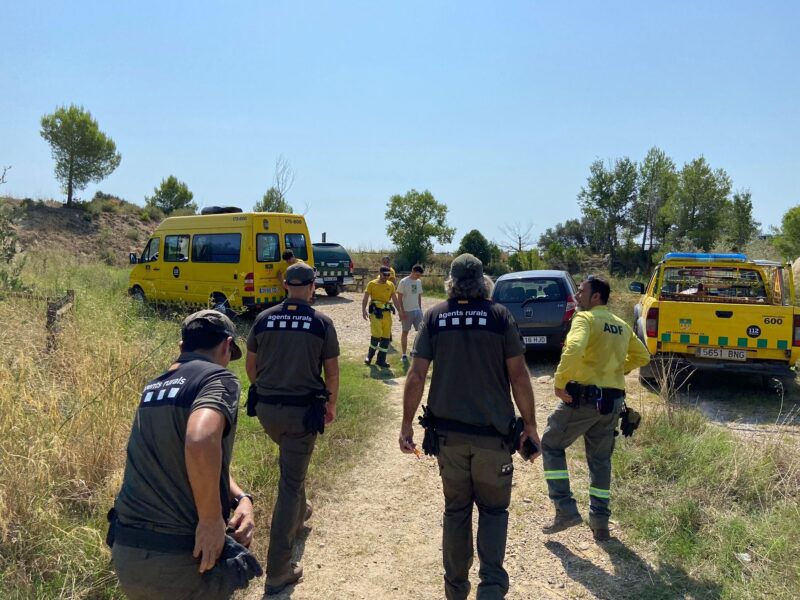 La Bustia Bassa Can Cardus Esparreguera 5