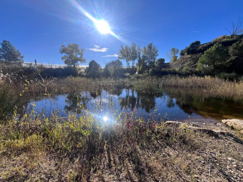 La Bustia Bassa Can Cardus Esparreguera 9