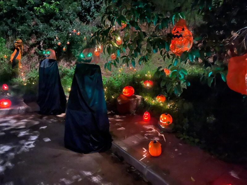 La Bustia Castanyada i Halloween Castellvi 1