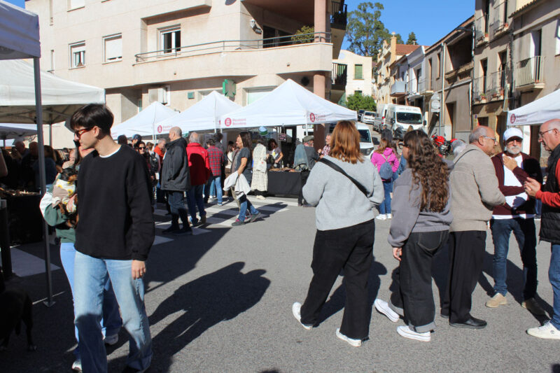 La Bustia Fira Tardor Castellvi 11
