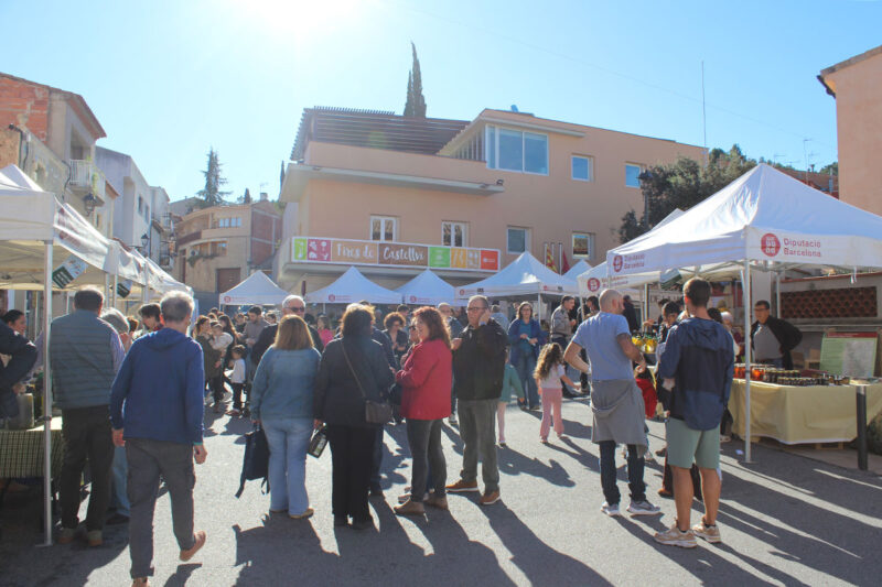 La Bustia Fira Tardor Castellvi 4