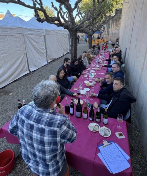 La Bustia Funifira 2025 foto Jangar Gelida 4