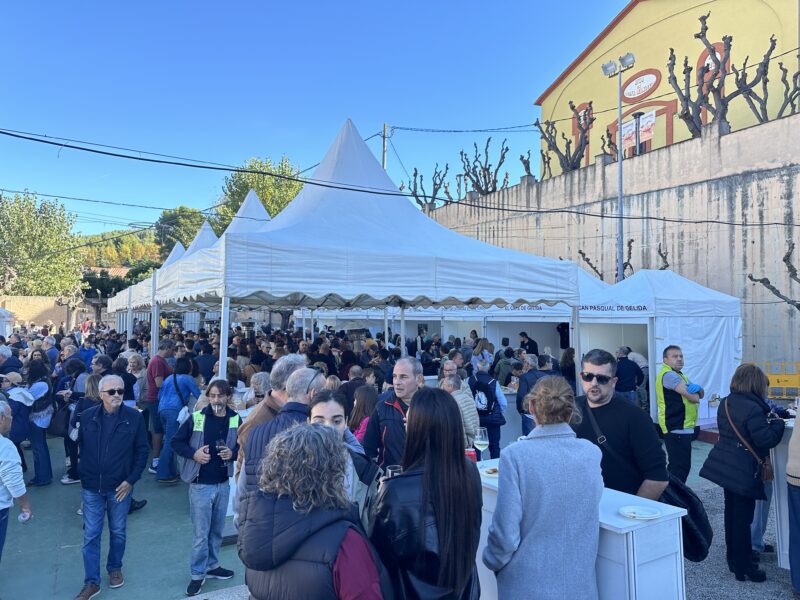 La Bustia Funifira 2025 foto La Bustia Gelida