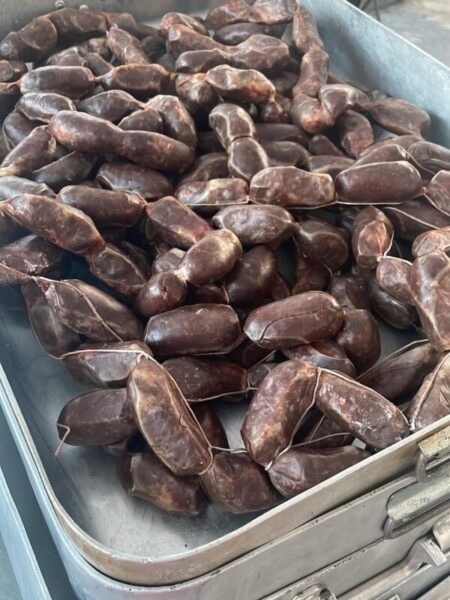 La Bustia Gelida apats historics 2025 8