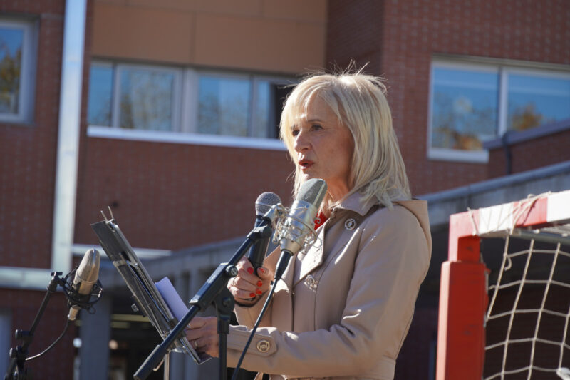 La Bustia Pilar Diaz Abrera 1