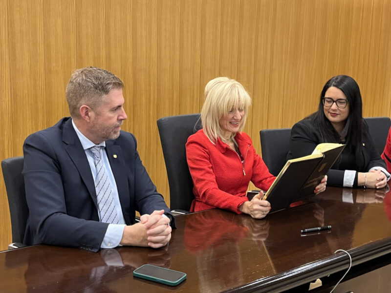 La Bustia Pilar Diaz Abrera 8