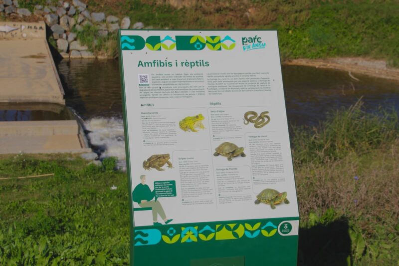 La Bustia SomRius Martorell 11