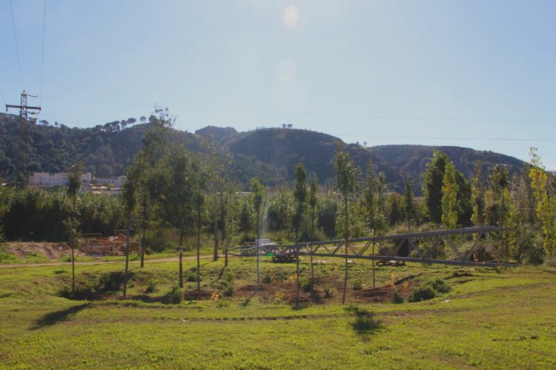 La Bustia SomRius Martorell 14