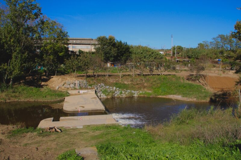 La Bustia SomRius Martorell 4