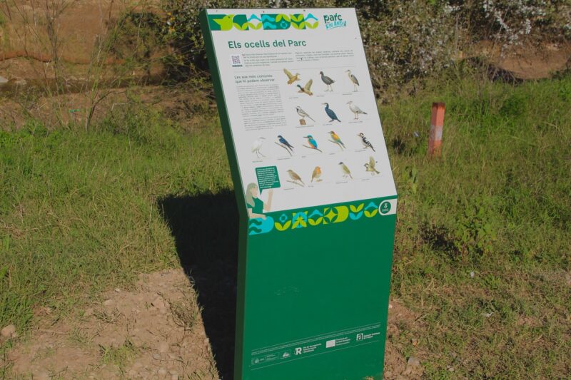 La Bustia SomRius Martorell 5