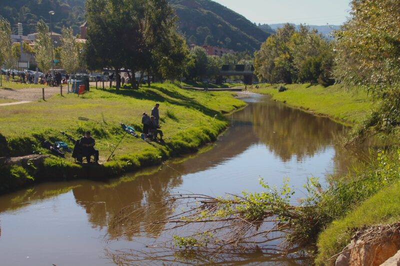 La Bustia SomRius Martorell 6