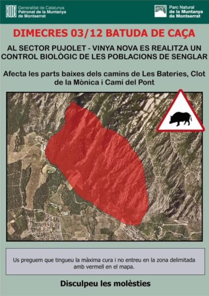 La Bustia cartell batuda senglars Patronat Montserrat Collbato