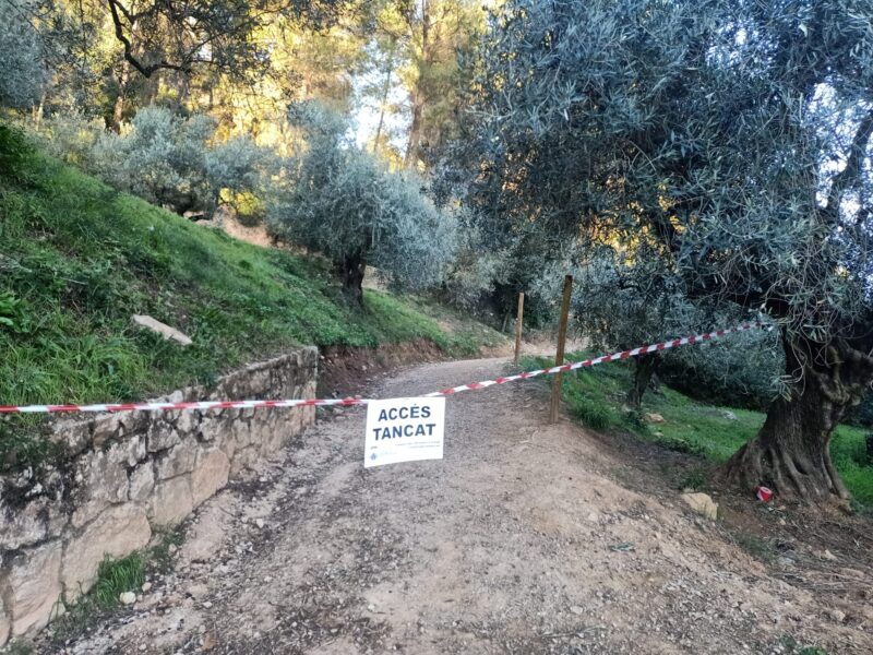 La Bustia cartell cami tancat pesta porcina africana Castellvi