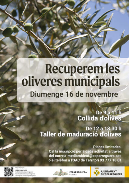 La Bustia cartell recuperem les oliveres Esparreguera