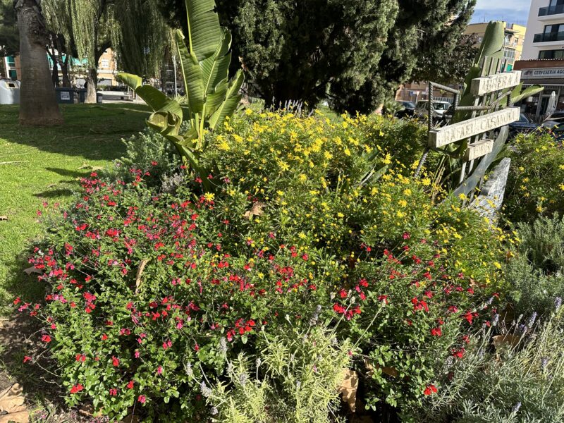 La Bustia flors Abrera