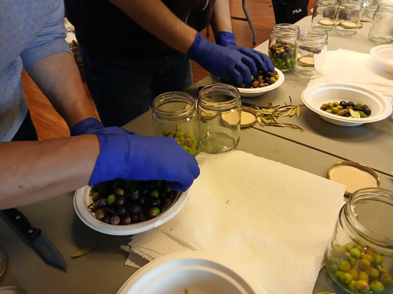 La Bustia jornada participativa oliveres Esparreguera 13