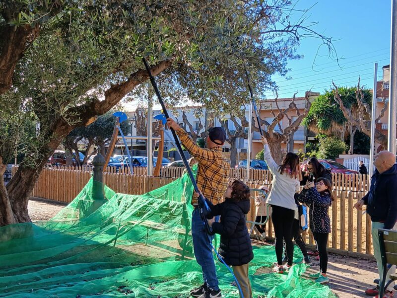La Bustia jornada participativa oliveres Esparreguera 15