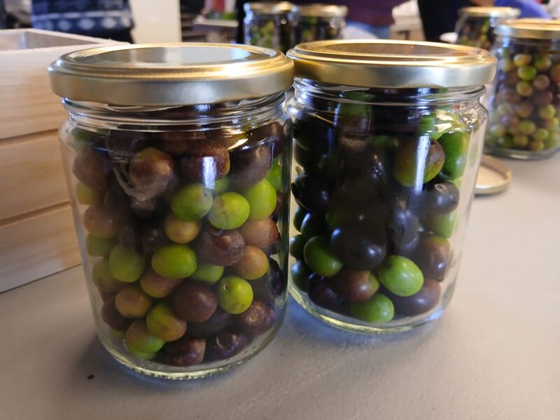 La Bustia jornada participativa oliveres Esparreguera 2