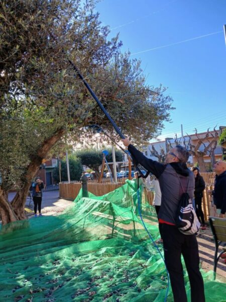 La Bustia jornada participativa oliveres Esparreguera 7