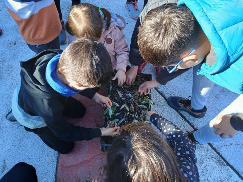 La Bustia jornada participativa oliveres Esparreguera 8