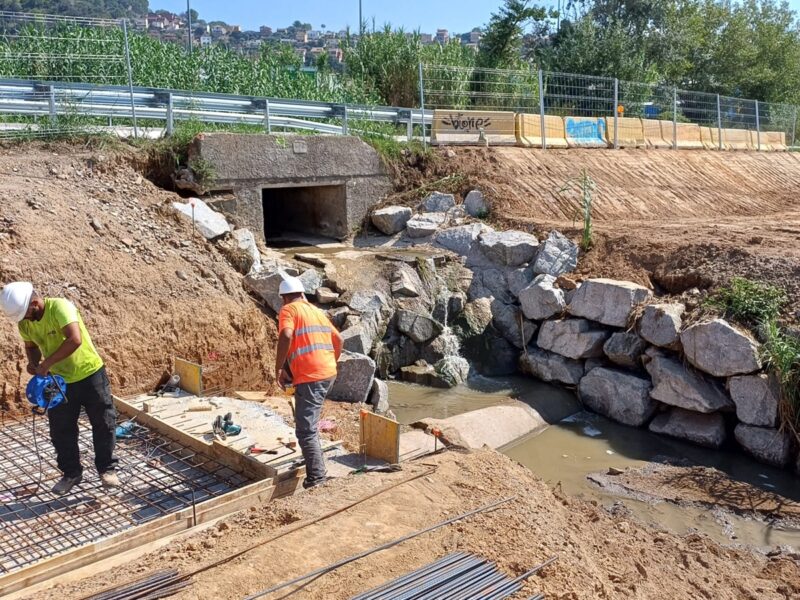 La Bustia obres nova rotonda Abrera 1