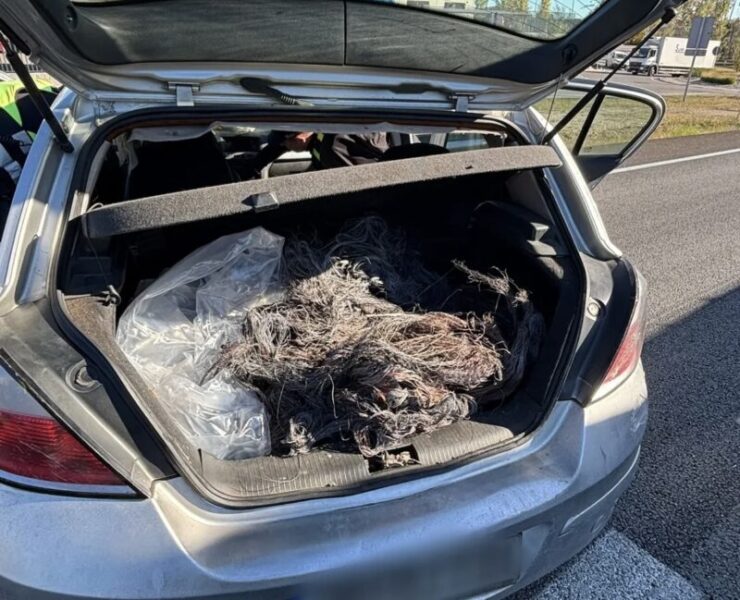 La Bustia robatori coure Martorell 2