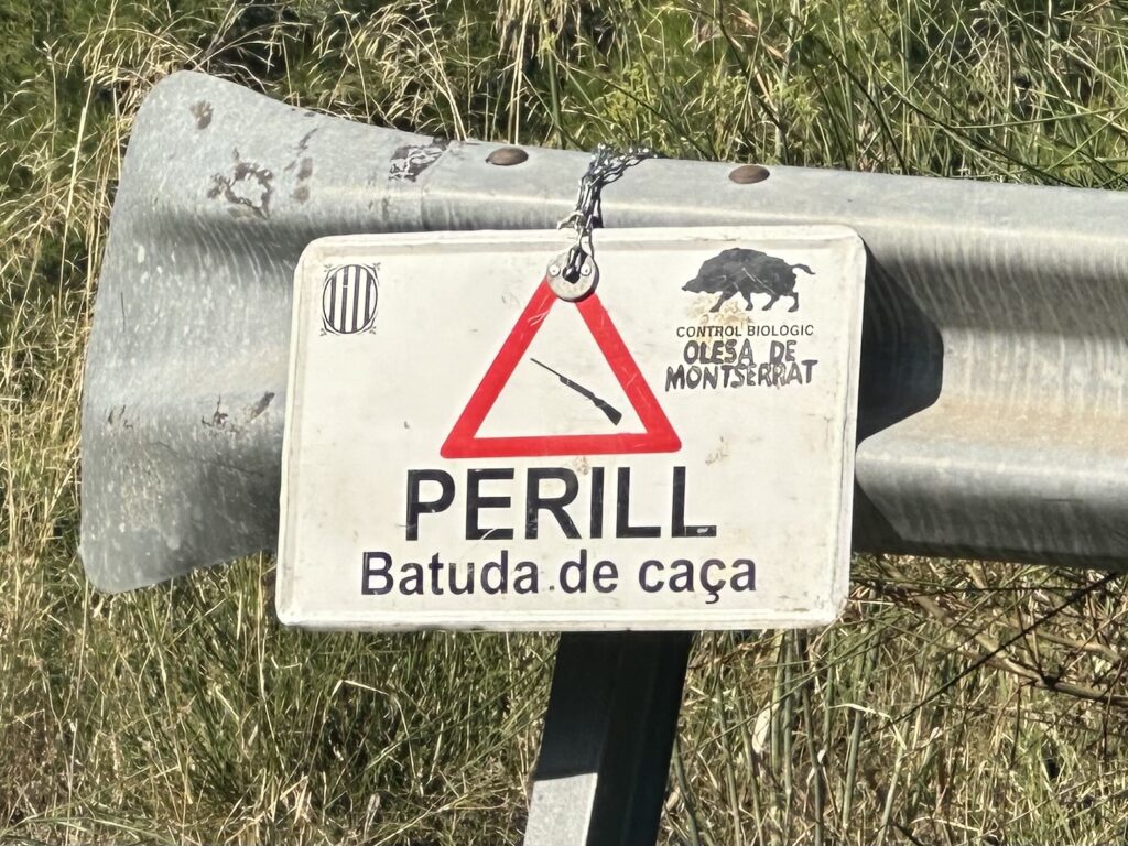 La Bustia senyal batuda senglar