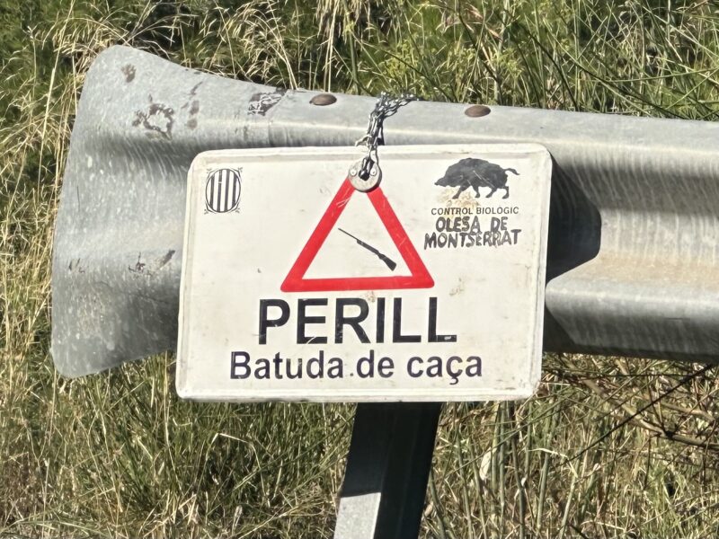 La Bustia senyal batuda senglar