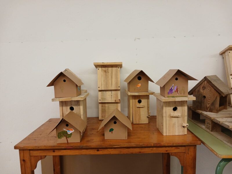 La Bustia taller caixes niu ADF Esparreguera 5