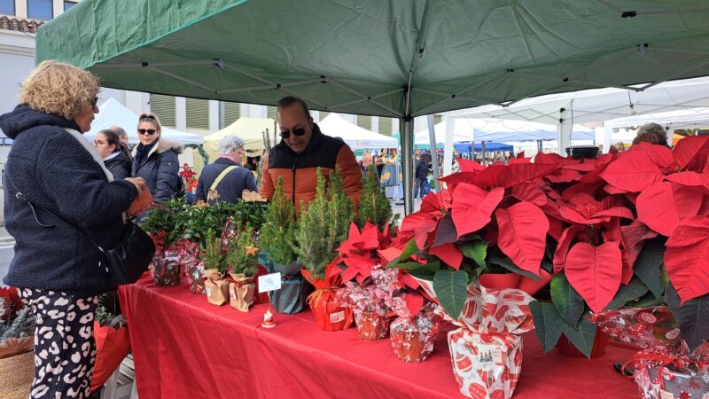 La Bustia Fira Nadal Esparreguera 9