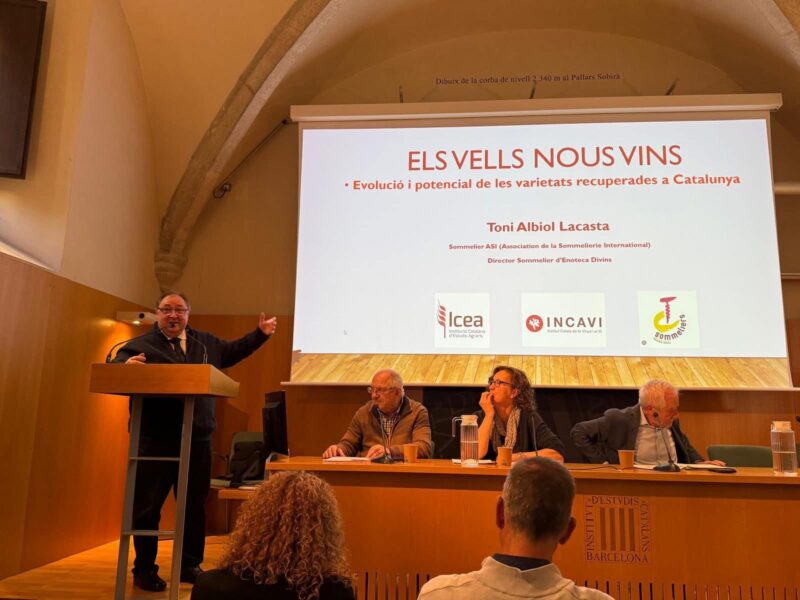 La Bustia Toni Albiol Divins Martorell activitats
