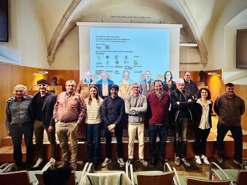 La Bustia Toni Albiol Divins Martorell activitats