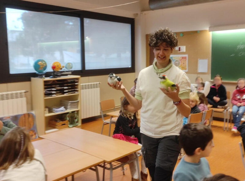 La Bustia caixes niu Mansuet Collbato