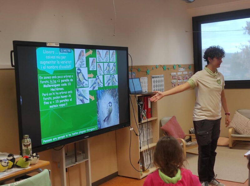 La Bustia caixes niu Mansuet Collbato