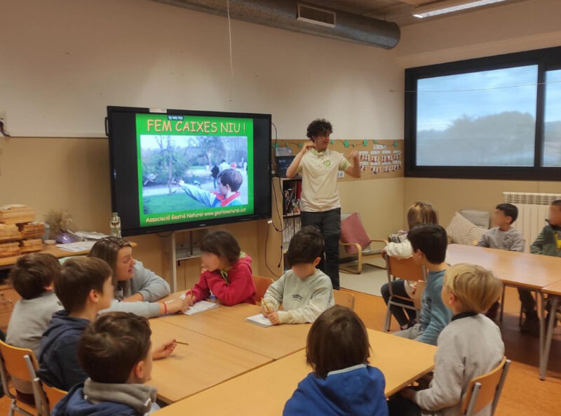 La Bustia caixes niu Mansuet Collbato