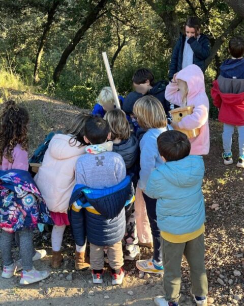 La Bustia caixes niu Mansuet Collbato