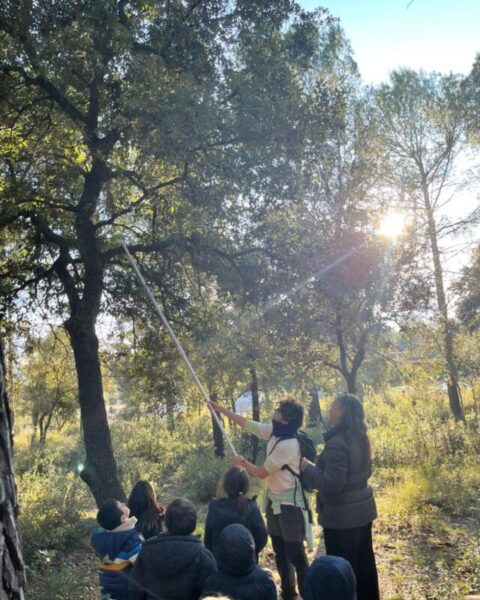 La Bustia caixes niu Mansuet Collbato